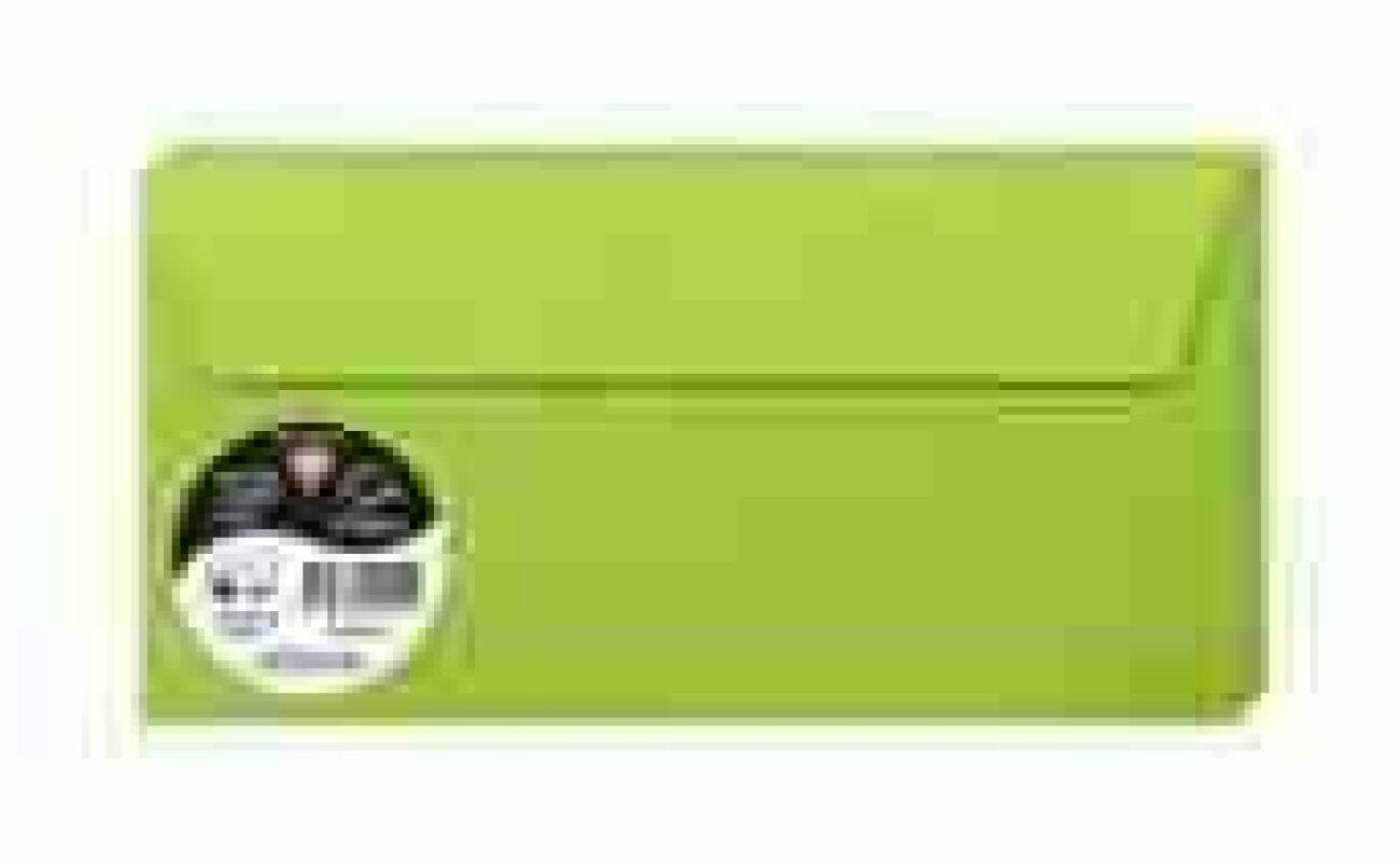 Pak van 20 stuifmeelenveloppen 110 x 220mm 120g/m² - mintgroen